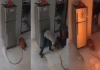 Shocking-lpg-cylinder-blast-incident-caught-on-cctv