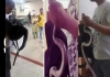 Snake-in-bag-jaipur-hospital-incident