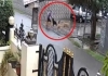 Stray-dogs-attack-boy-udaipur-karol-colony