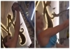 Woman-bitten-by-snake-during-viral-video-kiss-attempt