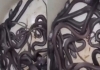Snake-rescue-in-mandsaur-shocks-locals