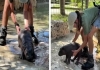 Baby-elephant-viral-video-obeys-mother