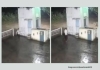 Junagadh-lion-human-meet-funny-viral-video