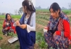Viral-funny-video-daughter-in-law