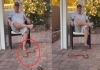 Woman-funny-reaction-to-snake-under-chair-viral-video