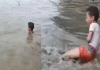 Child-picks-live-crocodile-viral-video