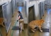 Tiger-attack-viral-video-woman-escape