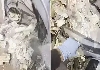 Cash-found-inside-second-hand-dryer-viral-video