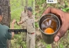 Kali-tiger-reserve-saj-tree-water-video-viral