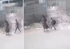 Hyderabad-manikonda-woman-harassment-cctv-video