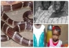 Bihar-two-girls-die-snake-bite-while-sleeping