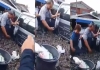 China-live-rats-market-viral-video