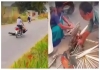 Injured-peacock-feathers-plucked-video-shocks-social-me