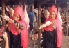 Viral-video-raw-meat-bone-eating-fact-check-controversy