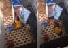 Woman-electrocuted-while-cleaning-refrigerator-video-vi