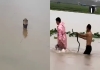 China-flood-snake-farm-snakes-rescue-operation