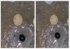 Pratapgarh-shivling-like-structure-house-floor-viral