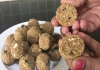Thinai Nuts Laddu Recipe Healthy Millet Sweet for Kids at Home