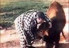 Emotional-cow-video-goes-viral-on-social-media
