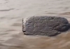 Floating-rock-ganges-kaushambi-up