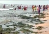 Thoothukudi Thiruchendur Temple Sea 