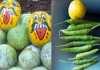Suffering From Evil Eye? Try These Traditional Remedies to Remove Negative Energy
