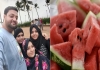 Mumbai Family Death Mystery Solved: Rat Poison, Not Watermelon, Caused Tragedy