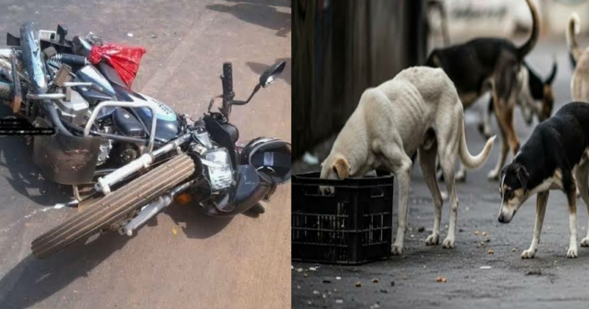 18-year-old-youth-died-in-bike-crash-due-to-stray-dogs