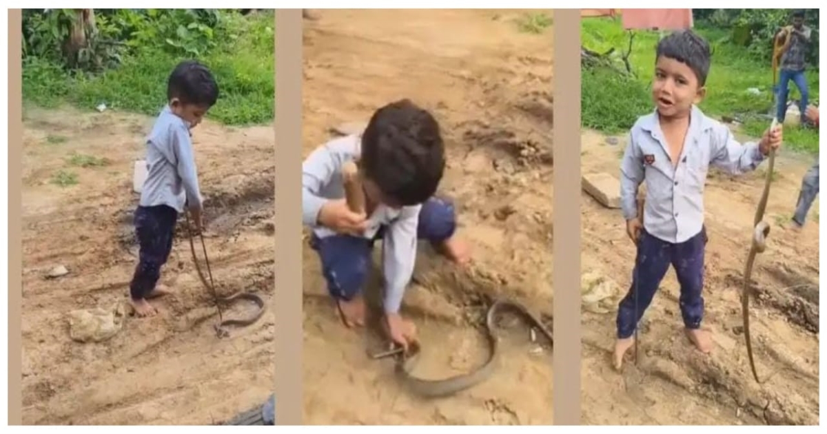 boy-catching-snake-madhya-pradesh