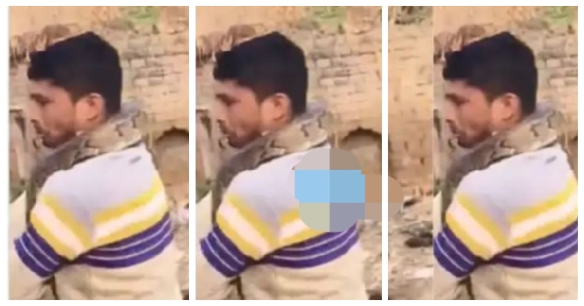 drunk-man-plays-with-python-viral-video