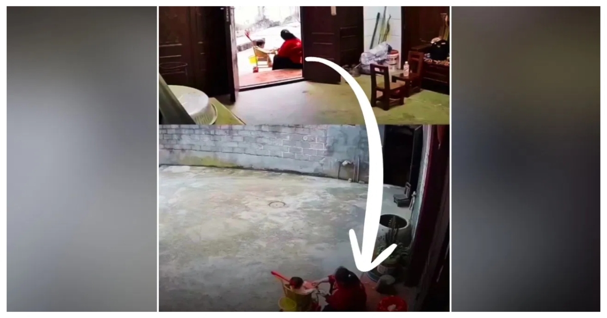 cctv-viral-mother-child-cow-incident-debate