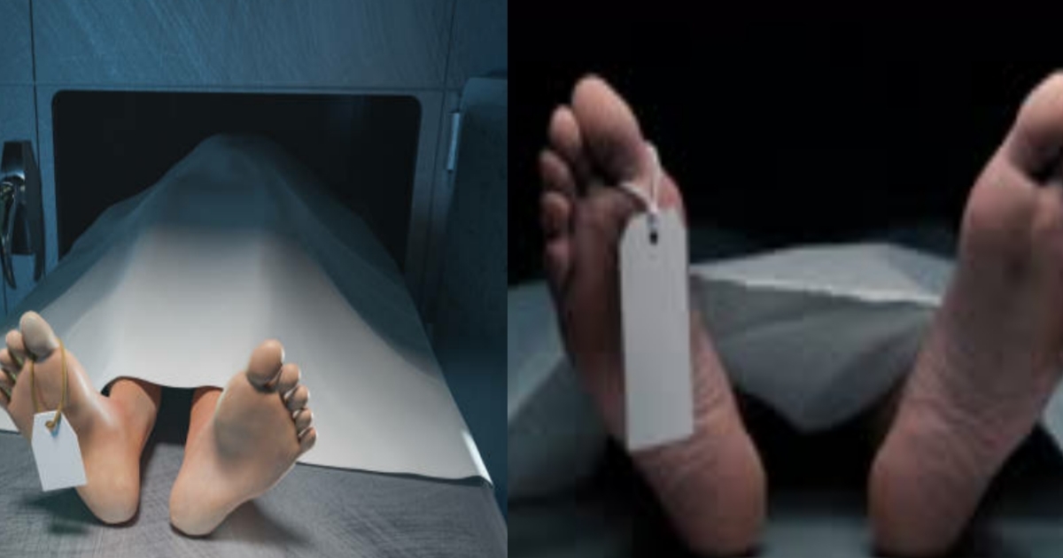 it-engineer-who-tried-to-commit-suicide-after-killing-h