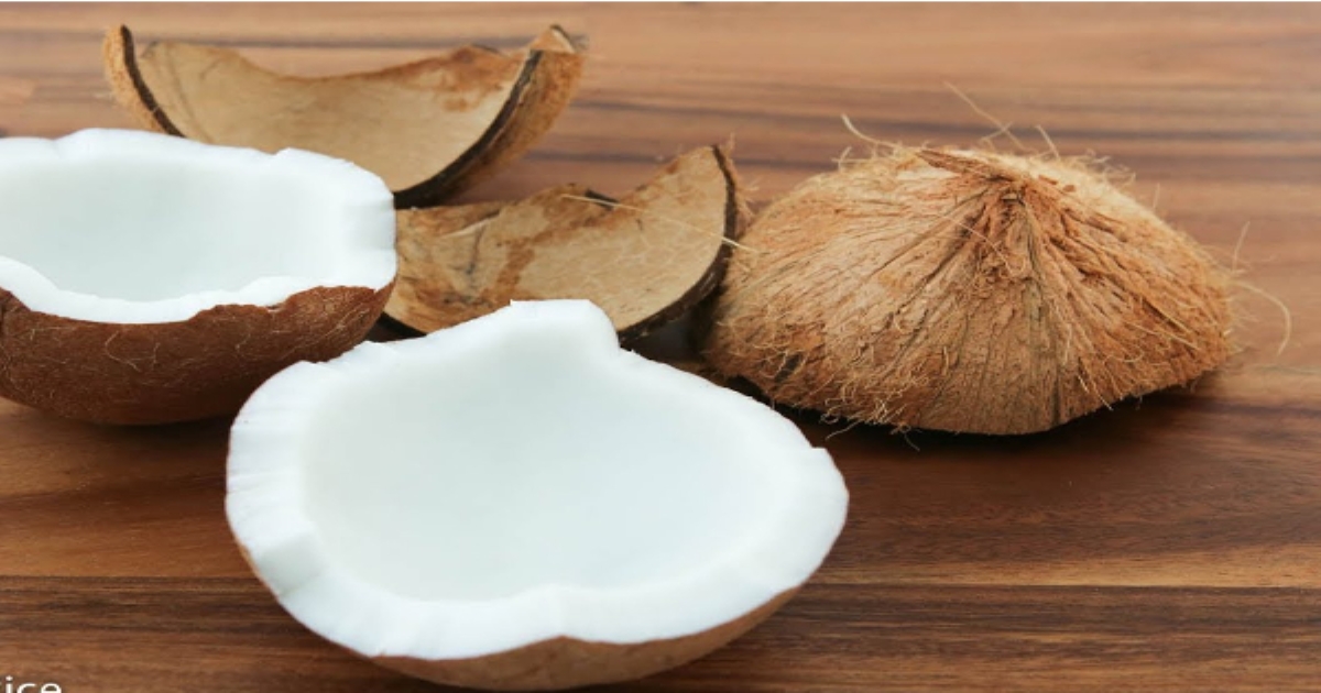 Benefits of eating coconut in daily