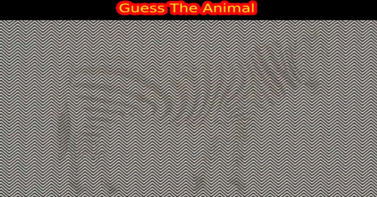 optical-illusion-brain-eye-test-tamil