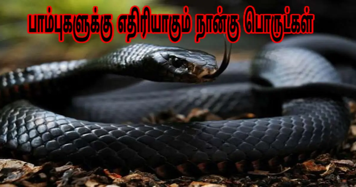 natural-ways-to-repel-snakes-home-garden