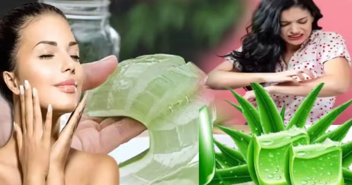 aloe-vera-side-effects-and-precautions