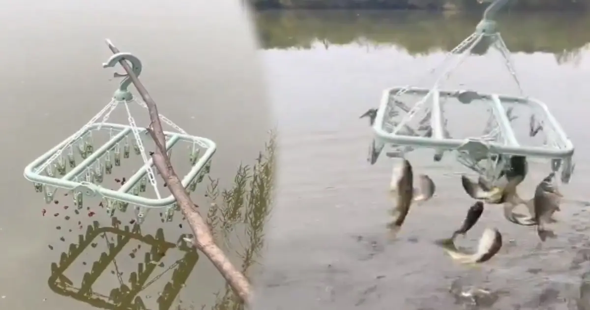 fishing-without-nets-and-rods-amazing-tamil-video