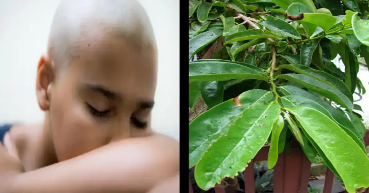 soursop-leaf-cancer-benefits