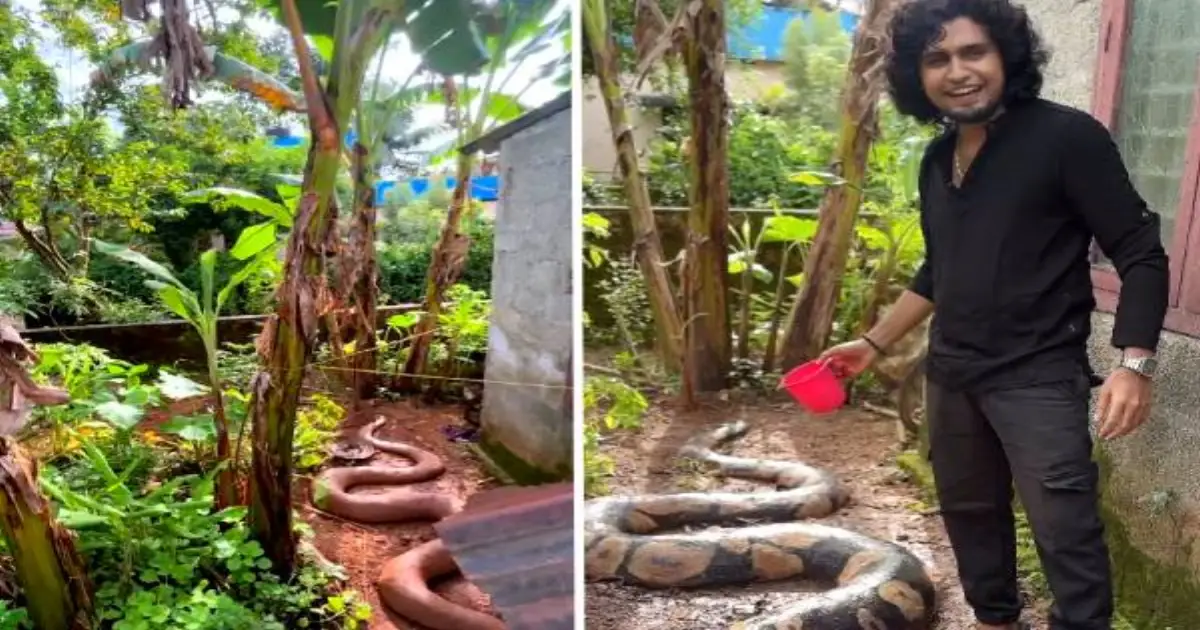 fake-python-video-garden-shock