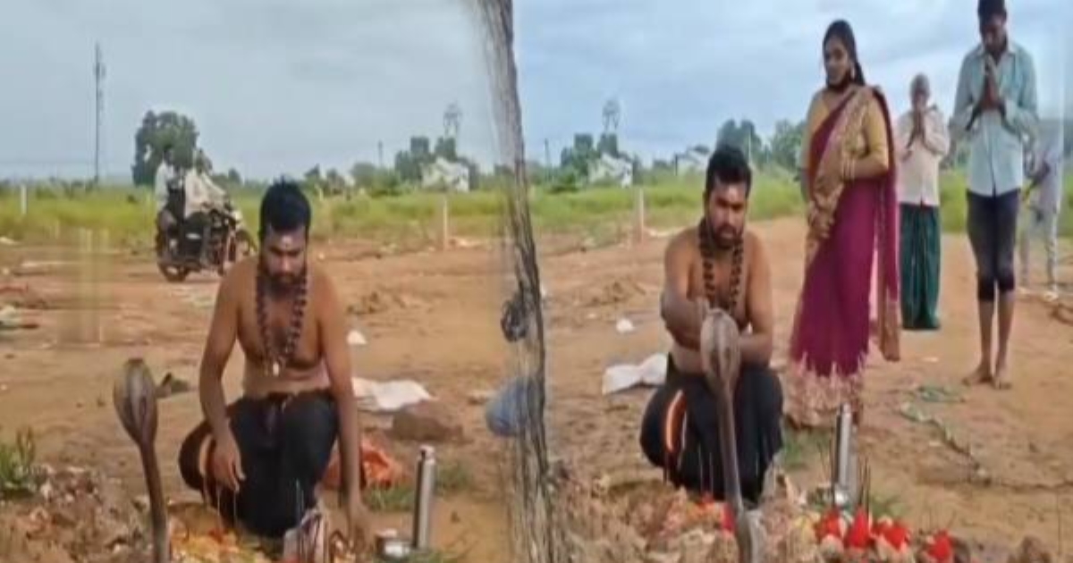 devotee-performs-pooja-to-cobra-eluru