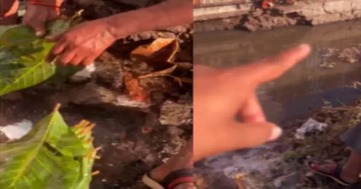 mumbai-viral-video-street-vendor-sewage-water-cleaning-