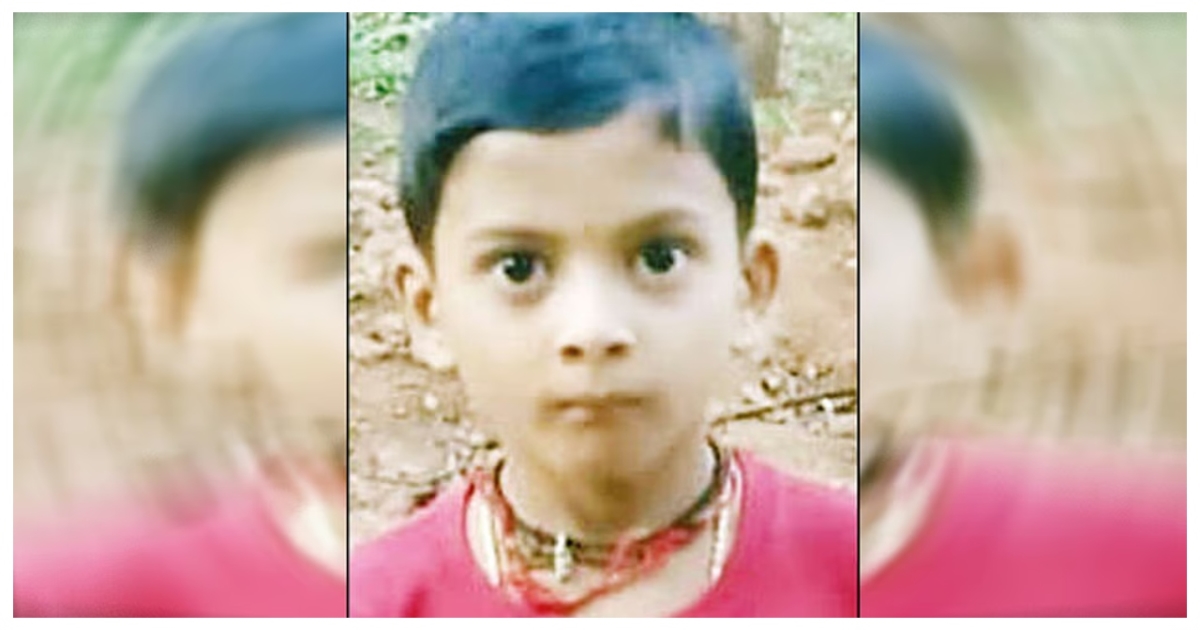 karnataka-wasp-attack-boy-dies