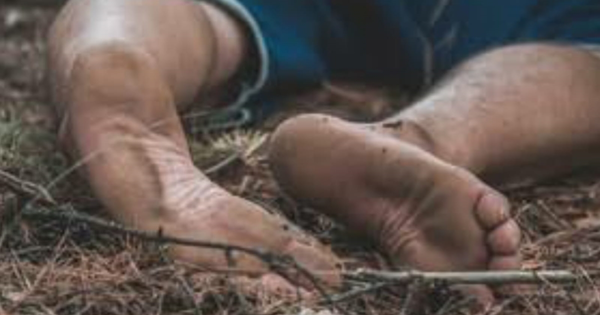 tempo-driver-brutally-murders-step-son