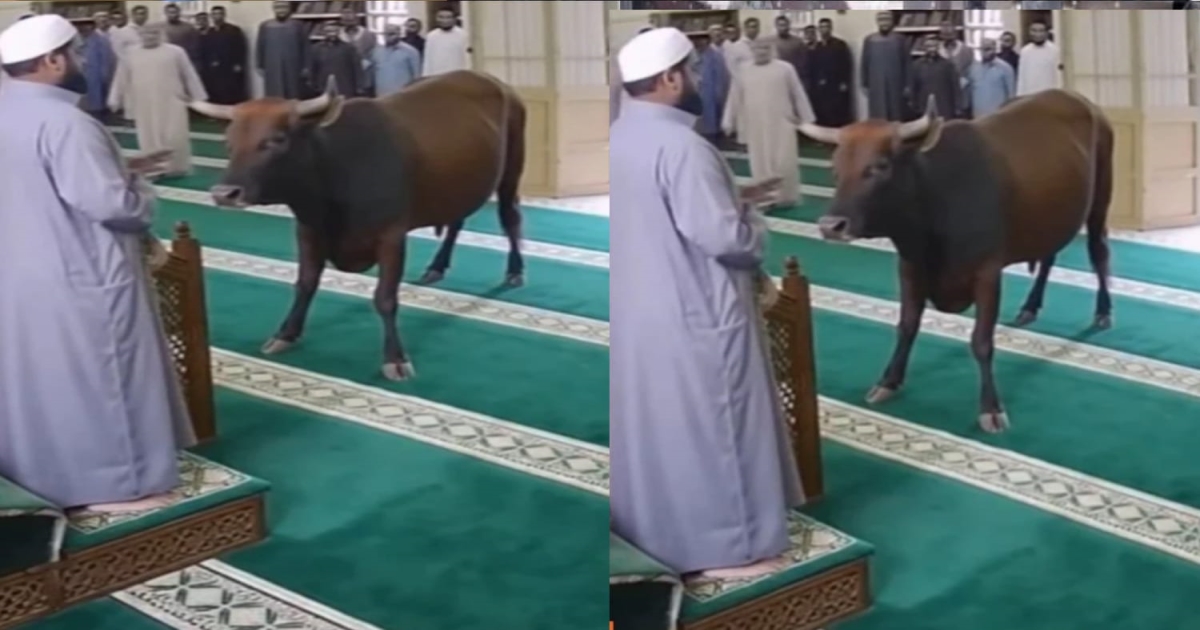 bull-enters-mosque-video-viral