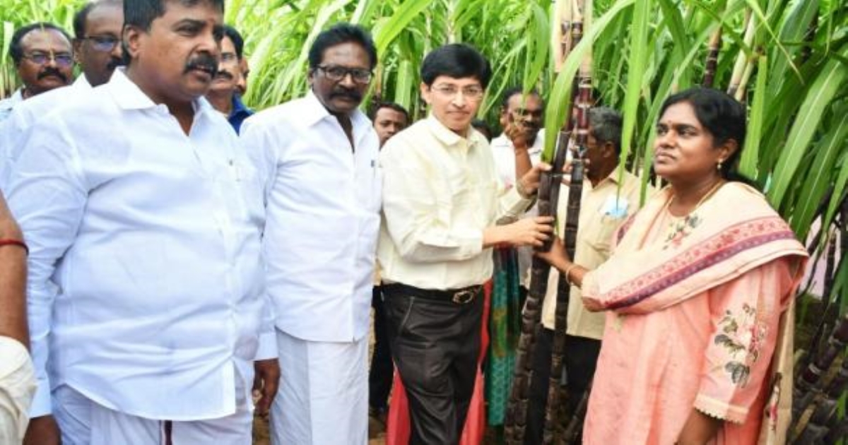 j-radhakrishnan-pongal-prize-sugarcane-research