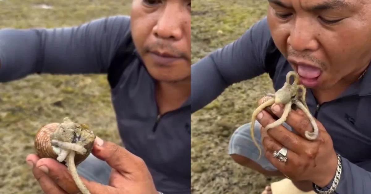 man-eats-live-octopus-video-viral