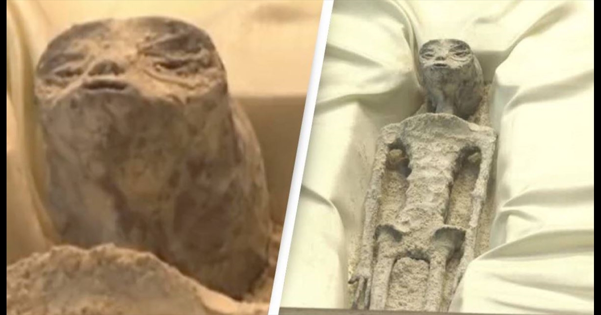 Found 2 mummies in mexico like aliens 