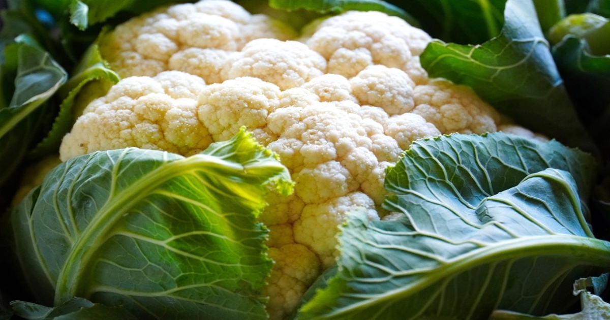 how-to-choose-fresh-cauliflower-simple-buying-tips-for