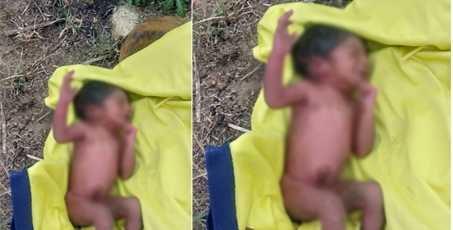 New born baby found in road side near velloor