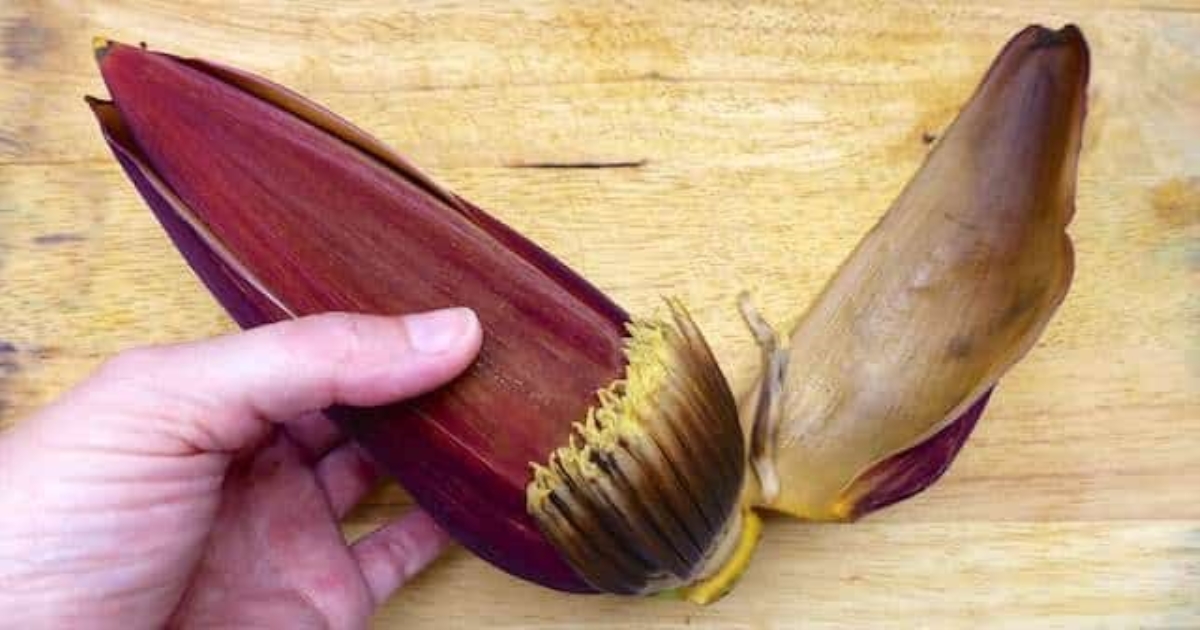 Health Benefits of Banana flower